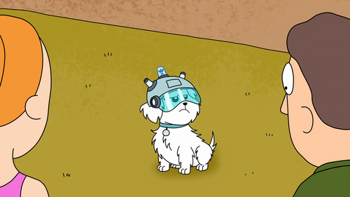 7.png