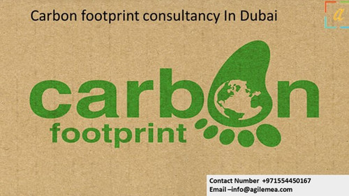 Carbon 5.jpg