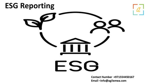 ESG Reporting 5.jpg