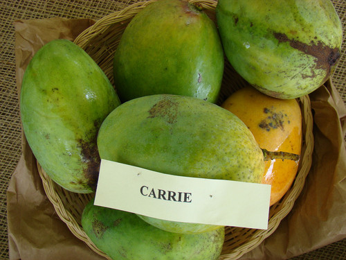1920px Mango Carrie Asit fs8.jpg
