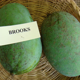 1600px Mango Brooks Asit fs8