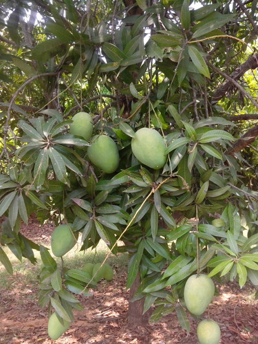 img 20140517 113221.jpg