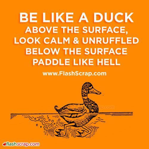 0 3ddsaA7WXOGorE Z.jpg