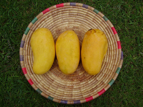 OLYMPUS DIGITAL CAMERA.jpg