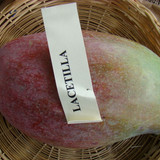 1920px Mango Lancetilla Asit fs8