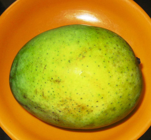 A 'Langra' mango.jpg