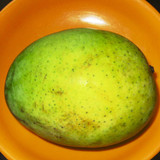A 'Langra' mango