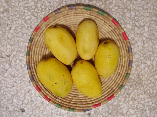 1920px Chaunsa.jpg