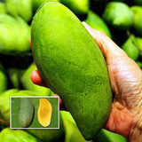 keow savoey thailand mangoes