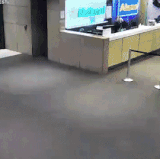 510bd5c3f3578f37.out.20191220 114208.gif