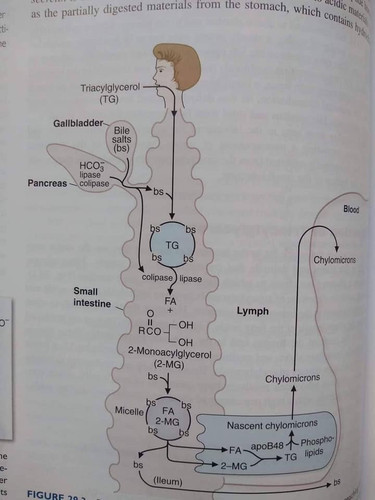 14CE15F1 5F1F 4BCD AB9A 4A1504EDB4C1.jpg