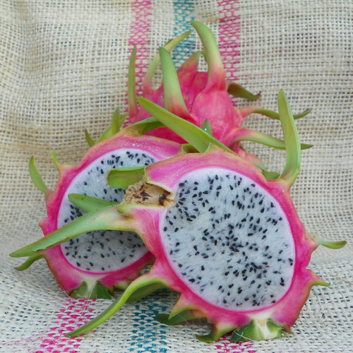 Thomson fruit Spicy Exotics 2.jpg