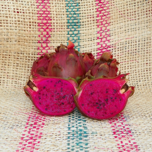 Neon fruit Spicy Exotics.jpg