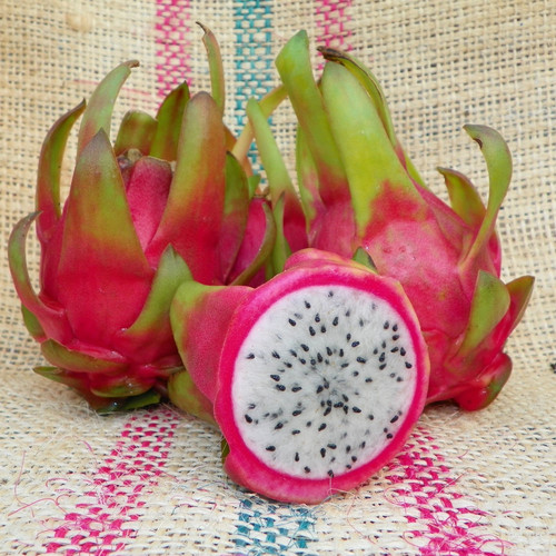 Maui Dragon Spicy Exotics.jpg