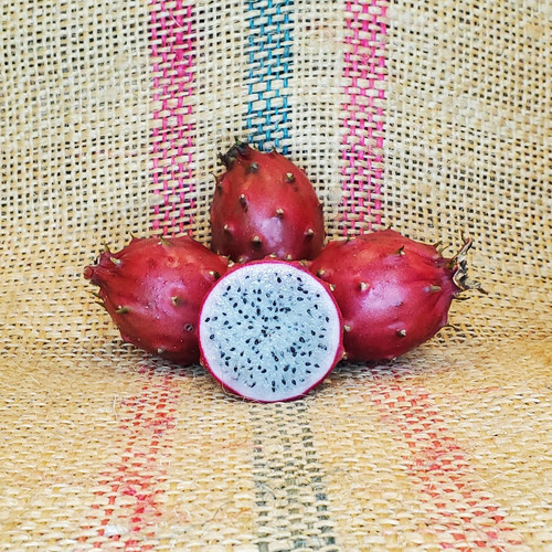 Tasty Dragon Fruit by Spicy Exotics.jpg