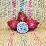 Tasty Dragon Fruit by Spicy Exotics