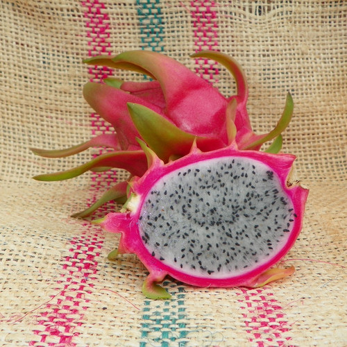 Harpua fruit Spicy Exotics.jpg