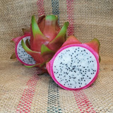 Capistrano Valley Dragon Fruit by Spicy Exotics