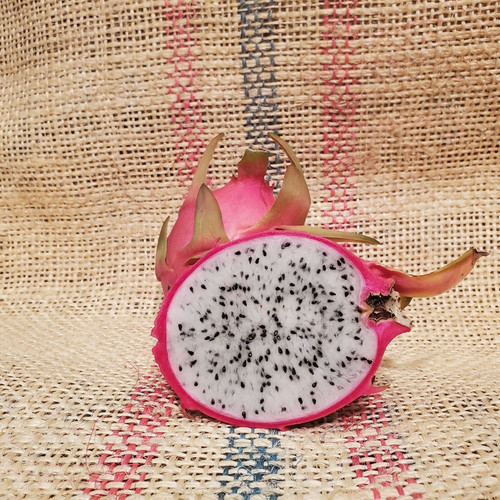 Jamaican Dragon Fruit Spicy Exotics.jpg