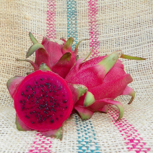 Cebra Fruit Spicy Exotics 2.jpg