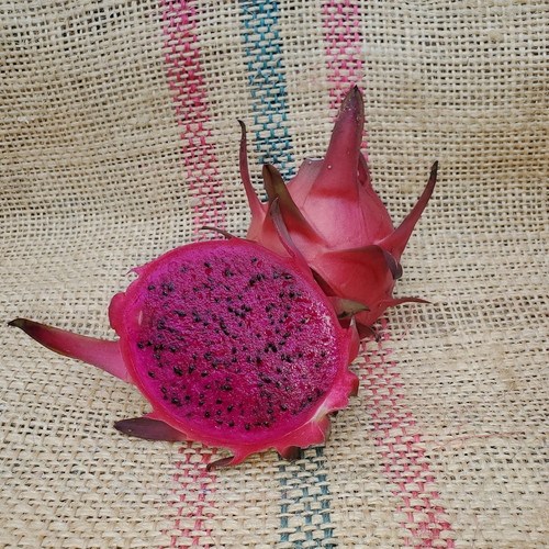 Red ES1 Dragon Fruit Spicy Exotics.jpg