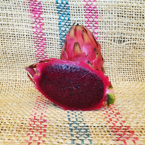 El Grullo Dragon Fruit by Spicy Exotics.jpg