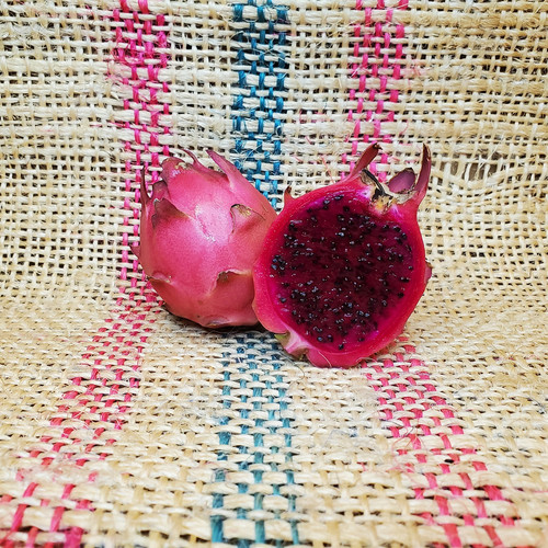 Broxensis Blue Dragon Fruit by Spicy Exotics.jpg