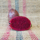 Black Velvet Dragon Fruit by Spicy Exotics