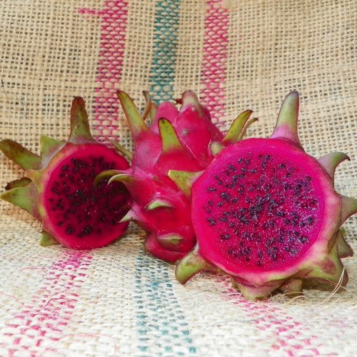 H Polyrhizus fruit spicy exotics 3.jpg