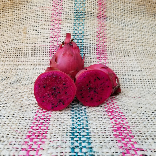 Houghton Dragon Fruit Spicy Exotics.jpg