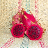 megalanthis 68 Dragon Fruit Spicy Exotics