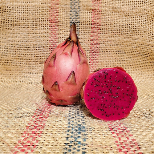 Tricia Dragon Fruit Spicy Exotics.jpg