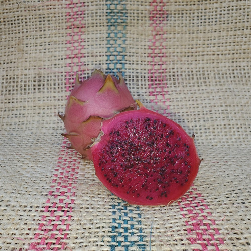 Vivid Purpurea Dragon Fruit Spicy Exotics.jpg