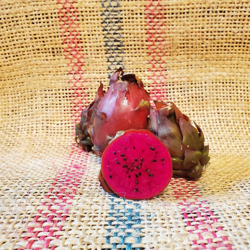 Sugar Dragon Dragon Fruit Spicy Exotics 2.jpg
