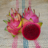 Sin Espinas Dragon Fruit Spicy Exotics