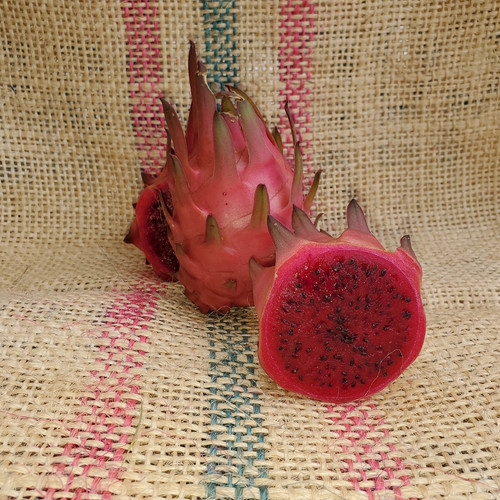 UCLA Dragon Fruit Spicy Exotics.jpg