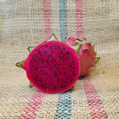 San Ignacio Dragon Fruit Spicy Exotics.jpg