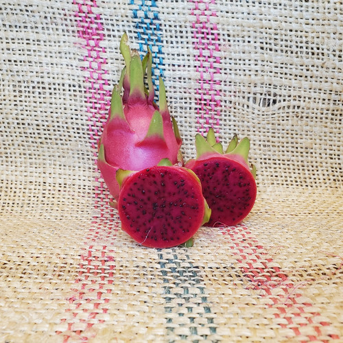 Wild Thing Dragon Fruit Spicy Exotics.jpg