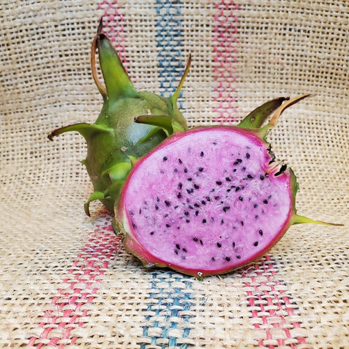 Chantilly Lace Dragon Fruit by Spicy Exotics.jpg