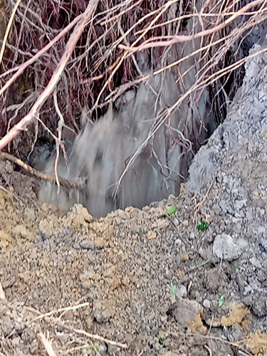 WhatsApp Image 2022 11 22 at 4.34.55 PM.jpg