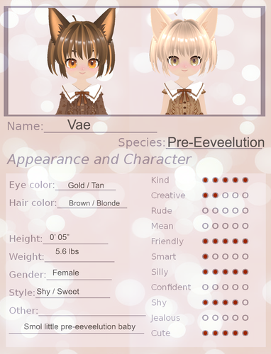 Vae 3D.png