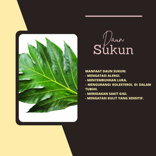 Desain 88 Daun Sukun.png