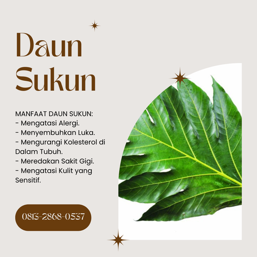 Desain 86 Daun Sukun.png
