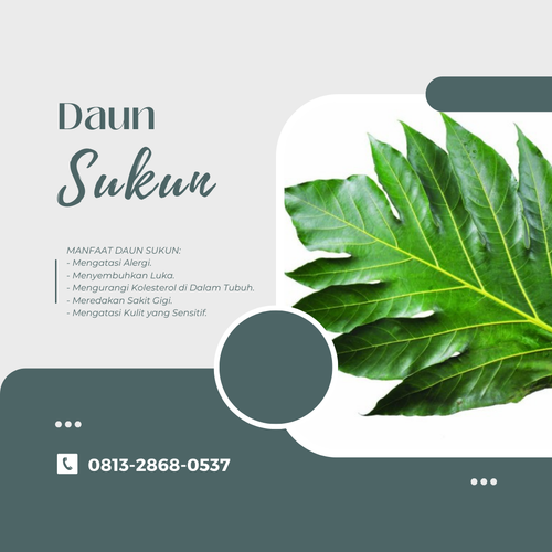 Desain 89 Daun Sukun.png
