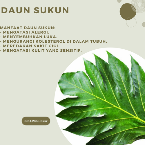 Desain 90 Daun Sukun.png