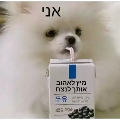 1b3d0806 ddb9 4fd8 8e24 edc9ca8c5e4d.webp