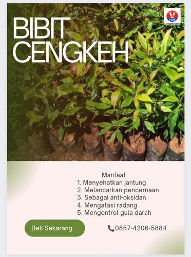 IMG 20221123 062051.jpg