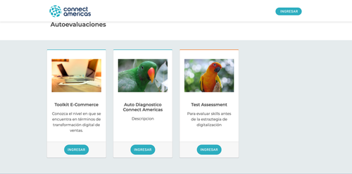 Connect Americas.png