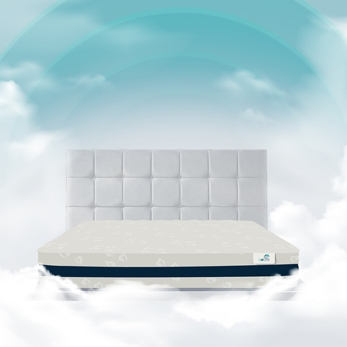 Image 3.png