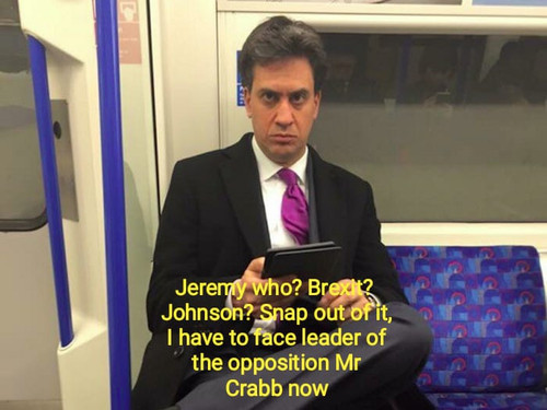1669117789299.jpg